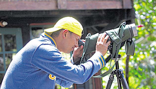 Observación de quetzales. En el Parque Internacional La Amistad habitan los famosos pájaros quetzales.