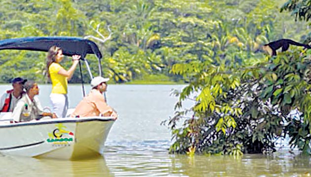 Un viaje por bote pasa a través del Canal de Panamá y le brinda la oportunidad de ver buques portacontenedores durante su paso. El Gamboa Rainforest Resort ofrece este servicio.