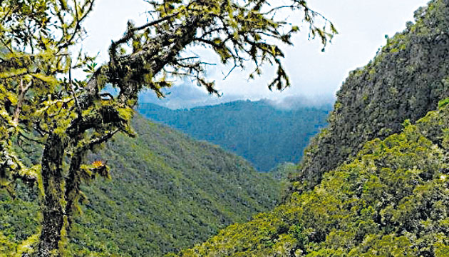 Vista del camino ya recorrido rumbo a la cima.(Kacena Marková)