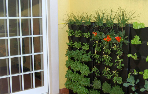 Pared verde en un balcón o patio pequeño. Foto Minigarden Portugal.jpg