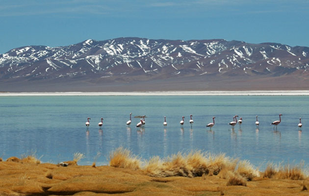 Atacama. Foto: Chile.Travel.com