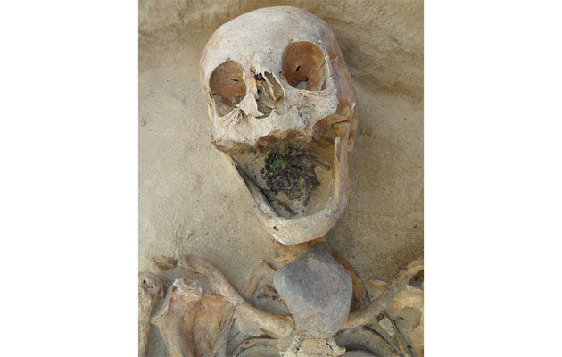 Huesos de una mujer de 45-49 a;os con una piedra en la boca foto PlosOne