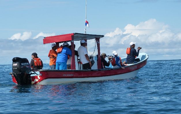 Boteros se han preparado para atender a los turistas. / José Manuel Adames. Coiba, un buen lugar para el avistamiento de cetáceos