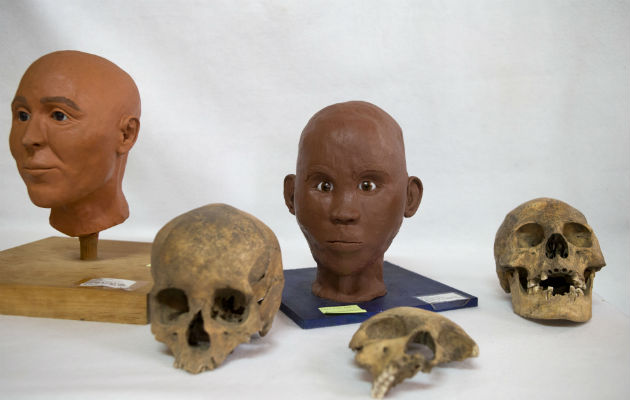 Diferentes cráneos encontrados. Foto/ AP