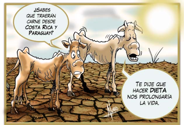 Trazo del Día – 30 de noviembre de 2015