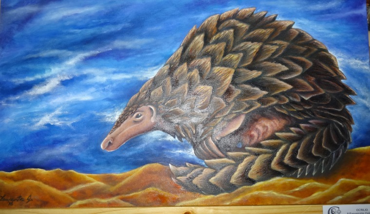 "Pangolín, un guerrero acorazado", de Laurents Gordón. "Pangolín, un guerrero acorazado", de Laurents Gordón.