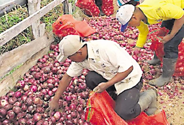 Productores: El Gobierno está haciendo las cosas mal en el agro