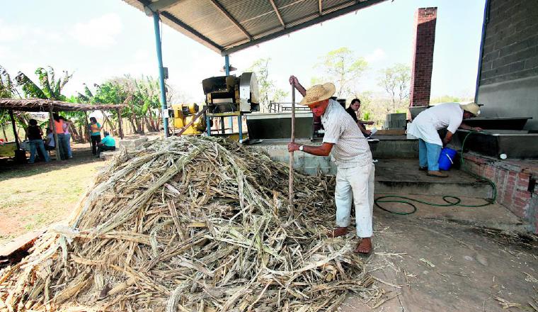 Los rubros que no son  tan tradicionales son los que les ofrecen mayor ganancia a los productores, mientras que los más consumidos les dejan pérdidas económicas la mayoría de las  ocasiones.