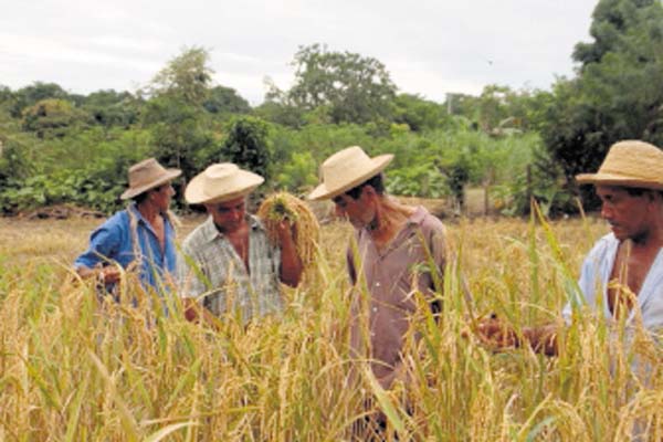Productores del país buscan, de alguna manera, ser escuchados