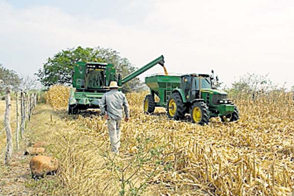 Productores dicen luchar por mantener la  soberanía alimentaria