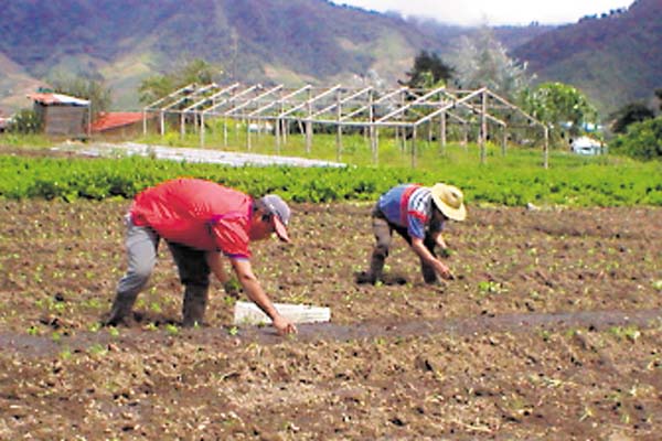 Solicitan al Estado fortalecer el sector productivo del país