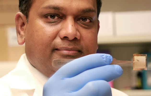 Inician ensayos con el 'nanochip' para sanar la piel, Foto/EFE
