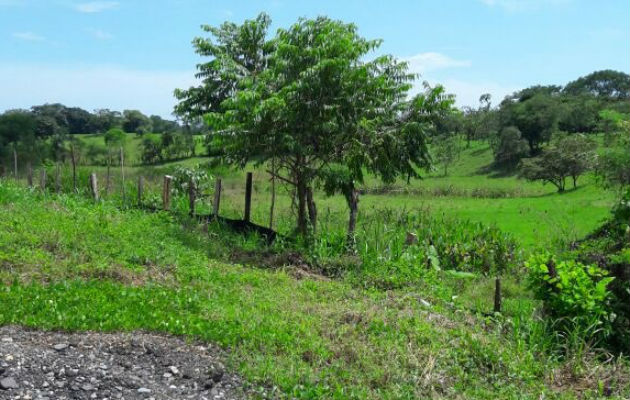 Construcción de casas de citas fue declarada viable por la gobernación Construcción de casas de citas fue declarada viable por la gobernación
