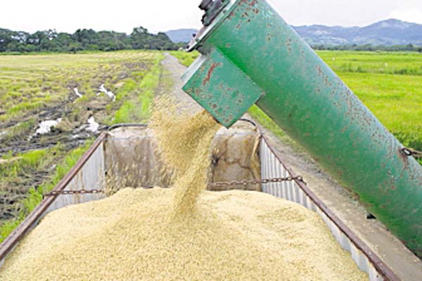 El país,  entre los países de la región con mayores importaciones