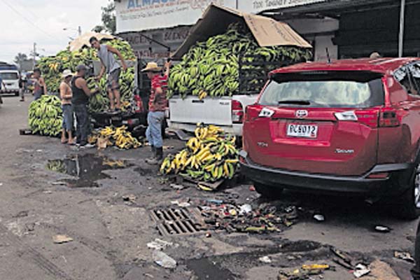 28 toneladas de alimentos se pierden cada día en el mercado
