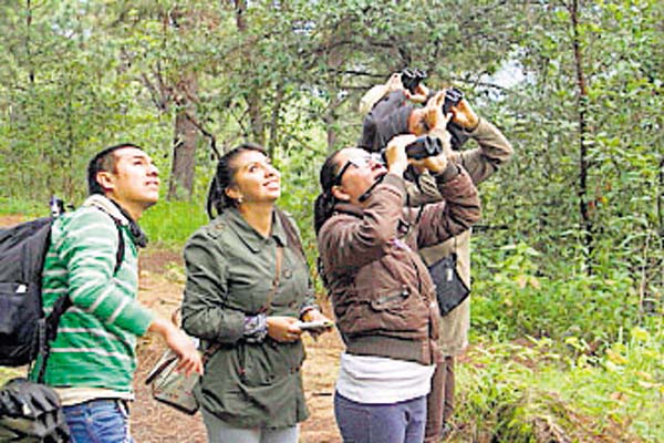 El turismo como industria dinamizadora en Costa Rica