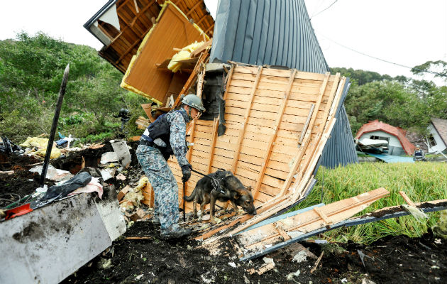 Un soldado de las Fuerzas de Autodefensa de Japón y su perro rastreador buscan desaparecidos entre los escombros de una casa destruida por el terremoto. Foto: EFE Un soldado de las Fuerzas de Autodefensa de Japón y su perro rastreador buscan desaparecidos entre los escombros de una casa destruida por el terremoto. Foto: EFE