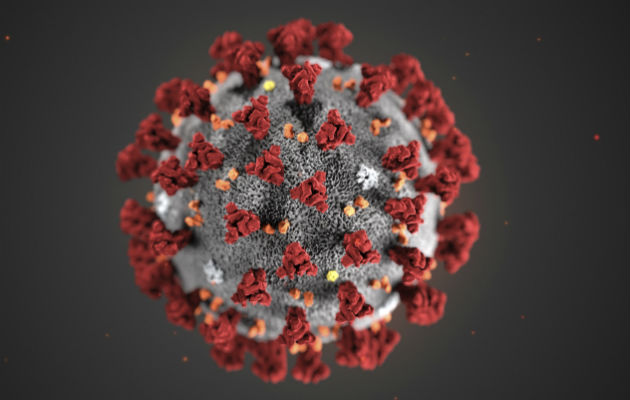 EE.UU. declara emergencia y prohíbe ingreso a extranjeros que visitaron China Imagen del coronavirus (2019-nCoV) surgido en la ciudad de Wuhan, China. Foto: AP.