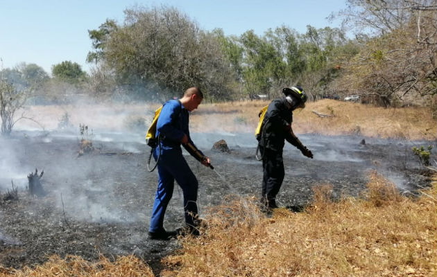 Fuertes vientos hacen estragos en Los Santos, tumban árboles y postes eléctricos Tras la caída de los postes, se dio un incendio de masa vegetal en el área. Foto: Thays Domínguez.