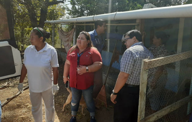 Adulta mayor que gritaba de dolor es atendida en Calobre, tenía gusanos y llagas en su cuerpo La señora vive en condiciones muy precarias con uno de sus hijos que es poco lo que le puede dar. Foto: Melquíades Vásquez.