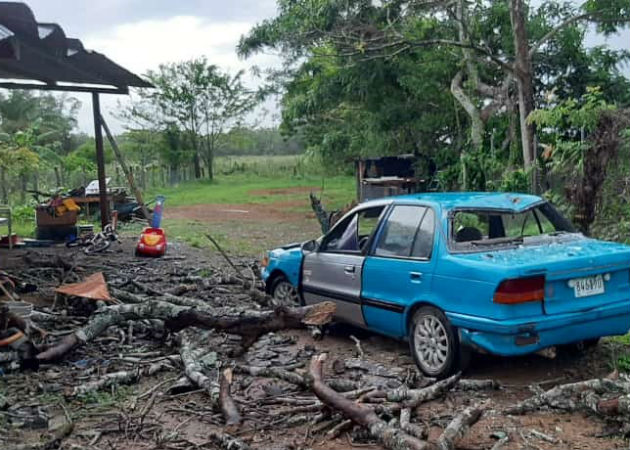 Árboles caídos dejan afectaciones parciales en la provincia de Los Santos Ramas de árboles cayeron sobre un automóvil en Pedasí. Fotos: Thays Domínguez.