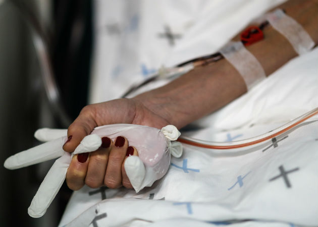El suero de caballo, la nueva esperanza argentina contra el coronavirus El ensayo de fase 2/3, ya ha comenzado en un sanatorio de Buenos Aires, Fotos: EFE.
