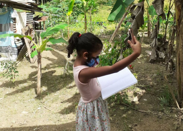 Estudiantes de Santa Rosa en Palenque no tienen acceso al wifi de la escuela Los alumnos tienen que ir a los potreros para buscar señal y poder conectarse a las clases virtuales. Fotos: Diómedes Sánchez.