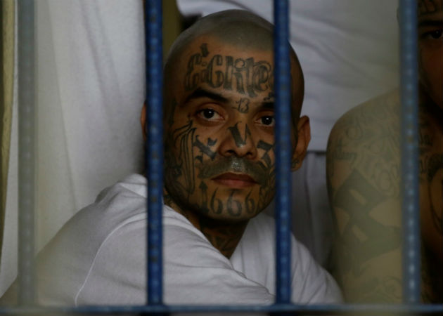 EE.UU. acusa por primera vez de terrorismo a un miembro de la Mara Salvatrucha (MS-13) El presidente Trump dijo "no descansaremos hasta que llevemos ante la Justicia a todos los miembros del MS-13". Fotos: Archivo/Ilustrativa.