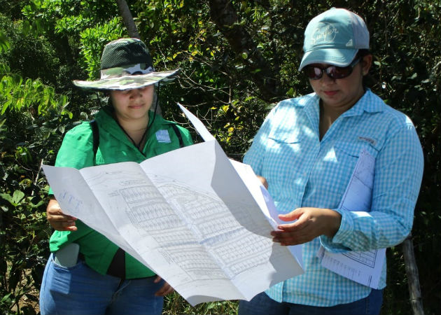 Estudios de Impacto Ambiental (EIA) generan en un año más de $100 millones en Chiriquí El distrito de David es el que mayor cantidad de proyectos aprobados tiene. Fotos: Mayra Madrid.