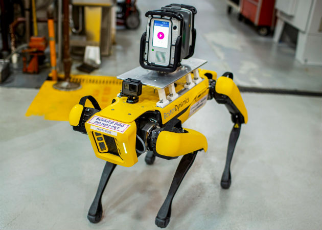 Ford utilizará perros robot para crear un modelo digital de sus plantas Los dos robots han sido llamados Fluffy y Spot, nombres comunes de perros en EE.UU. Fotos: EFE.