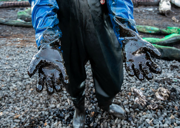 Hallan 18 delfines y marsopas muertos en Mauricio tras derrame de petróleo El petróleo vertido iba en el granelero japonés accidentado MV Wakashio, de bandera panameña. Fotos: Archivo/Ilustrativa.
