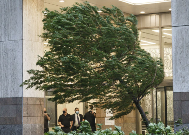 Un muerto y más de un millón sin luz en el área de Nueva York por la tormenta La víctima mortal estaba en el interior de su vehículo en el distrito de Queens cuando un árbol cayó sobre él. Fotos: EFE.