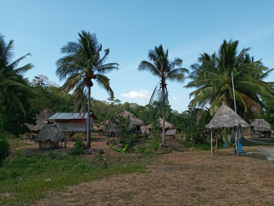 casas_de_tambo_embera-wounaan_dos.jpg casas_de_tambo_embera-wounaan_dos.jpg
