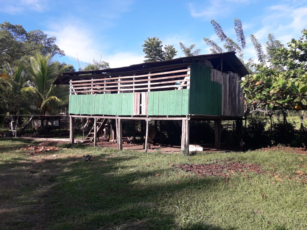 casas_de_tambo_madera_bocas_del_toro.jpg casas_de_tambo_madera_bocas_del_toro.jpg