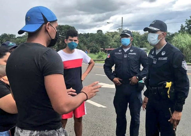 Policía investiga atropello mortal de los perros Papache, Guchi y Chombo en Nuevo San Juan Los perros no fueron macheteados como se aseveró en redes sociales. Fotos: Diómedes Sánchez.