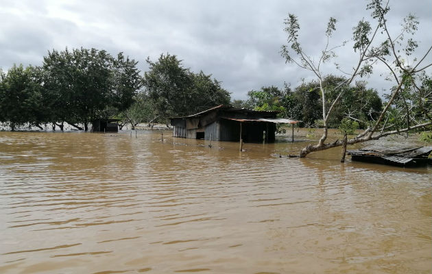 Entre las viviendas afectadas por la inundación hay dos casas de madera y zinc. Foto: Thays Domínguez., Entre las viviendas afectadas por la inundación hay dos casas de madera y zinc. Foto: Thays Domínguez
