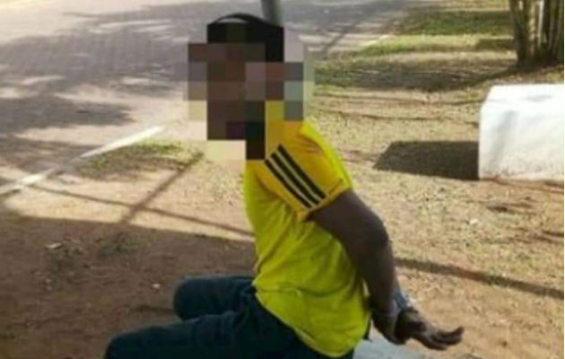 El ladrón ya tenía en su poder las luces que había hurtado del paseo central. Foto: Diómedes Sánchez S., El ladrón ya tenía en su poder las luces que había hurtado del paseo central. Foto: Diómedes Sánchez S.,