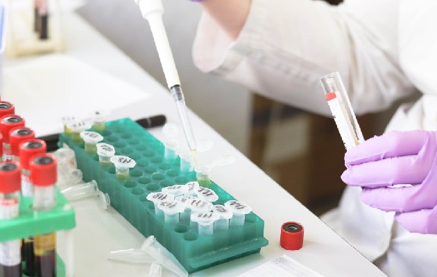 ciencia_pixabaypa.jpg
