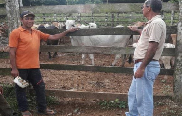 Al formar parte del Sistema Integrado de Gestión Agropecuaria de Panamá, los productores colonenses tendrán un mejor acceso a los programas. Foto: Diomedes Sánchez Al formar parte del Sistema Integrado de Gestión Agropecuaria de Panamá, los productores colonenses tendrán un mejor acceso a los programas. Foto: Diomedes Sánchez
