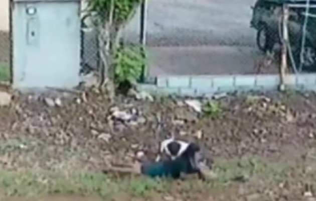 En el video de seguridad de una residencia cercana se aprecia como el perro ataca a la señora al pasar por el lugar. Foto: Mayra Madrid En el video de seguridad de una residencia cercana se aprecia como el perro ataca a la señora al pasar por el lugar. Foto: Mayra Madrid