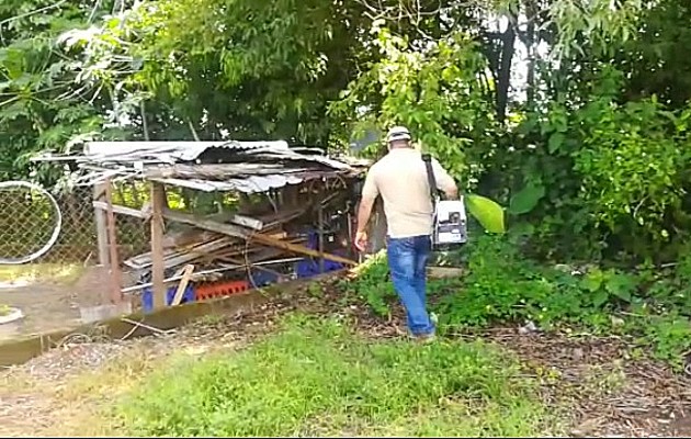 Piden a las personas mantener su predios limpios y evitar que formen criaderos de mosquitos en las cercanías a sus viviendas. Foto: José Vásquez Piden a las personas mantener su predios limpios y evitar que formen criaderos de mosquitos en las cercanías a sus viviendas. Foto: José Vásquez
