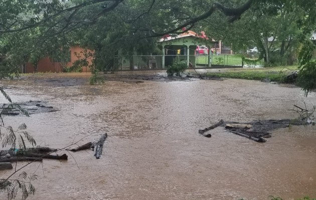 El agua creció e inundó los patios de algunas residencias cercanas a drenajes pluviales. Foto: Thays Domínguez El agua creció e inundó los patios de algunas residencias cercanas a drenajes pluviales. Foto: Thays Domínguez