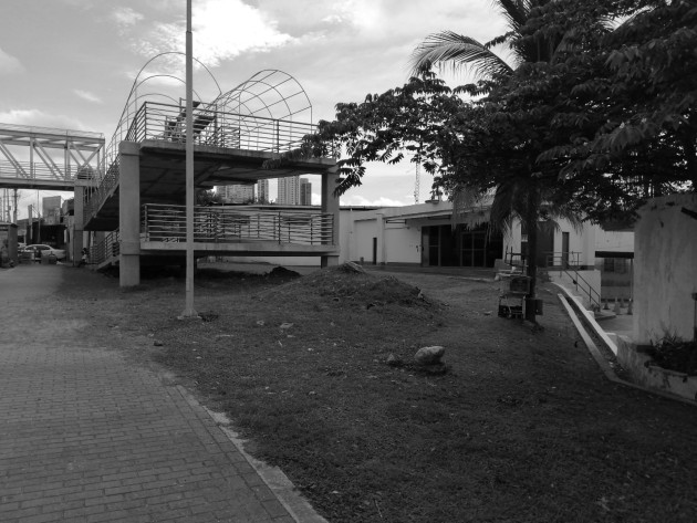 Crear jardines en esta vía puede potenciar a la Ciudad de Panamá como un país verde “Eco – friendly”. Foto: Emilze Evans. Cortesía. Crear jardines en esta vía puede potenciar a la Ciudad de Panamá como un país verde “Eco – friendly”. Foto: Emilze Evans. Cortesía.