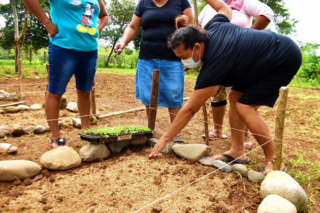 Jeny Jaramillo no puede ver, pero sabe con exactitud cuándo será la próxima cosecha. Foto: Cortesía Mides Jeny Jaramillo no puede ver, pero sabe con exactitud cuándo será la próxima cosecha. Foto: Cortesía Mides