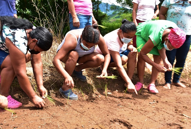 Un grupo de 40 mujeres rurales asiste a la Escuela Campo "Una Luz en el Camino". Foto: Cortesía Mides