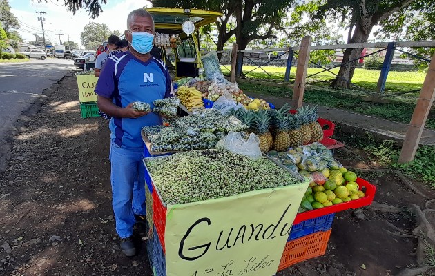 Una vez baje toda la producción de guandú de la comarca hacia los mercados el precio bajará aún más, lo cual hace difícil su producción por los altos costos de producción. Foto: José Vásquez Una vez baje toda la producción de guandú de la comarca hacia los mercados el precio bajará aún más, lo cual hace difícil su producción por los altos costos de producción. Foto: José Vásquez