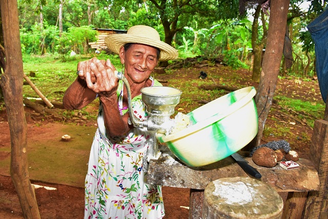 A sus 107 años, Felipa muele maíz, prepara sancochos, asa tortillas, va a misa y hace caminatas. Foto:Cortesía Mides A sus 107 años, Felipa muele maíz, prepara sancochos, asa tortillas, va a misa y hace caminatas. Foto:Cortesía Mides