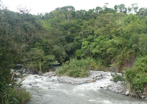 La cuenca hidrográfica del río Chiriquí Viejo se ubica al oeste de Chiriquí, cerca de Costa Rica. Foto: Mayra Madrid La cuenca hidrográfica del río Chiriquí Viejo se ubica al oeste de Chiriquí, cerca de Costa Rica. Foto: Mayra Madrid