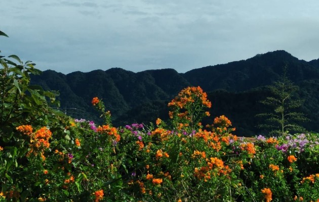 Los turistas prefieren hacer turismos en áreas abiertas y Chiriquí tiene muchas oportunidades para este tipo de actividades. Foto. José Vásquez Los turistas prefieren hacer turismos en áreas abiertas y Chiriquí tiene muchas oportunidades para este tipo de actividades. Foto. José Vásquez
