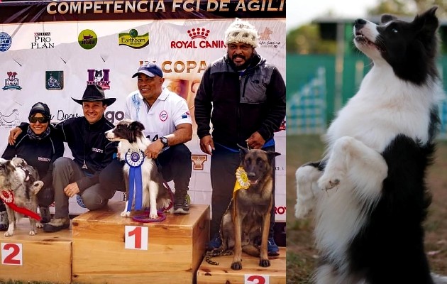 adiestrador1_pa.jpg adiestrador1_pa.jpg